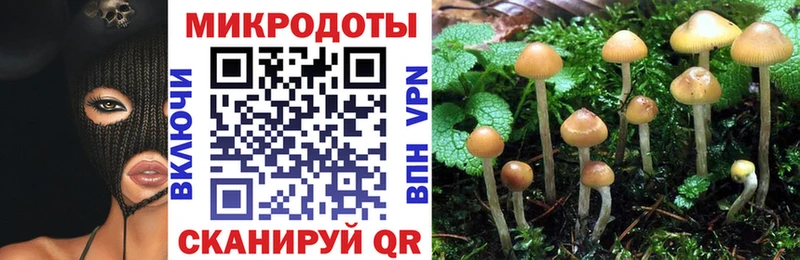 Псилоцибиновые грибы Psilocybine cubensis  Александровск 